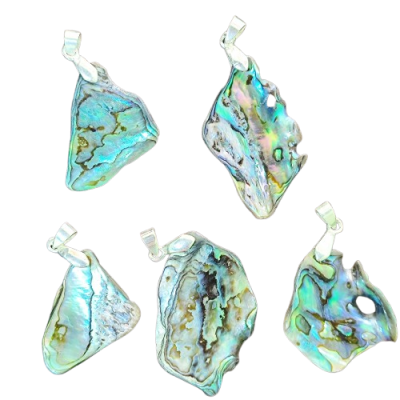 Pingente de Abalone